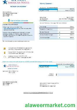 USA New Jersey American water business utility bill Word and PDF template